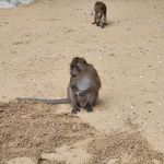 Фото отзыва Анна №3