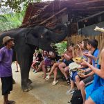 Фото отзыва Наталия  №1