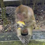 Фото отзыва Елена №2