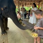 Фото отзыва Елена №3