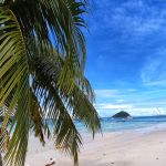 Фото отзыва Ангелина зубкова №4