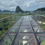 Фото отзыва Лилия №3