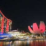 Фото отзыва Светлана №6