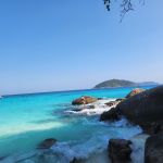 Фото отзыва Ольга №2