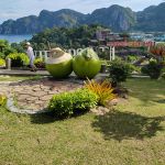 Фото отзыва Алена №2