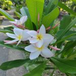 Фото отзыва Алена №3