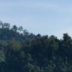 Фото отзыва Лера №3