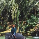 Фото отзыва Лера №1