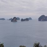 Фото отзыва Алина №3