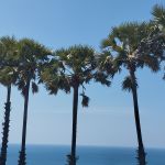 Фото отзыва Алина  №3