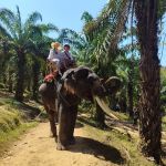 Фото отзыва Алина №1