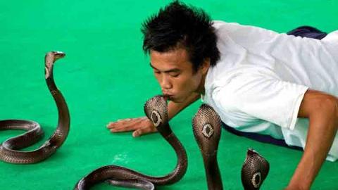 Змеиная ферма, тропик тур - фото 1