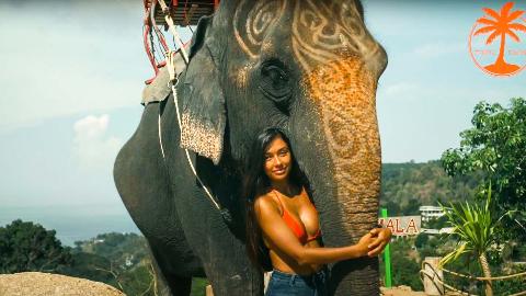 фото со слоном на Пхукете - фото 1