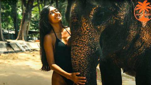 экскурсии катание на слонах - фото 3