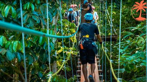 экскурсия Полет Ханумана (Гиббона) - фото 2